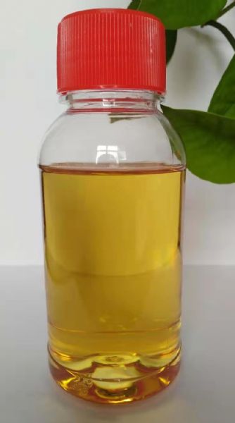 e62a11185f5c6269b4bb01660cb7795_WPS圖片.jpg